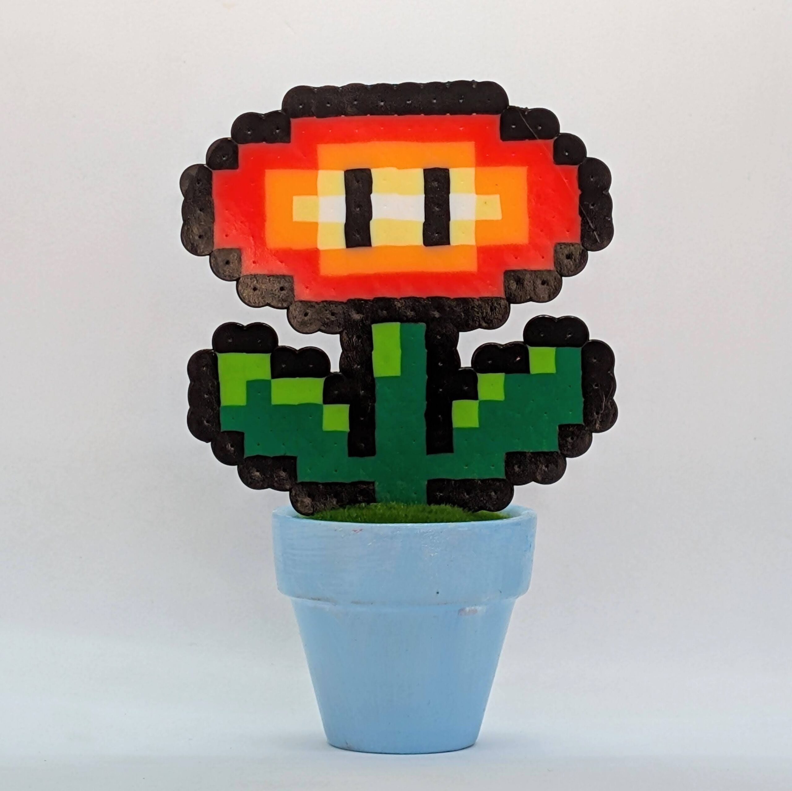 פרח אש גדול