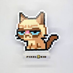 PXL_20260328_152125429.MP-EDIT סטנד - Grumpy Cat